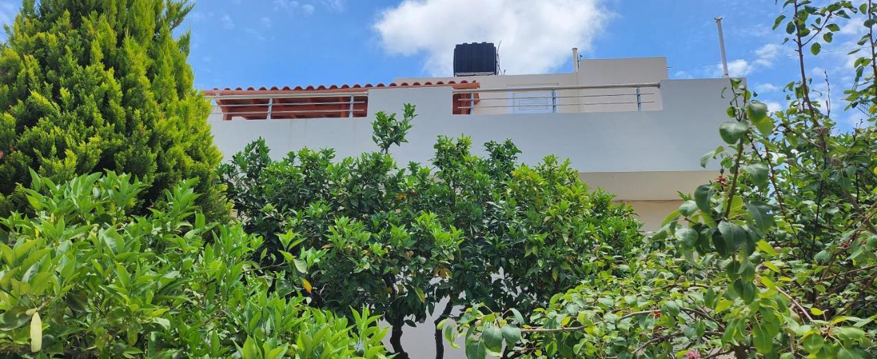 Villa Elli Hersonissos  Exteriör bild